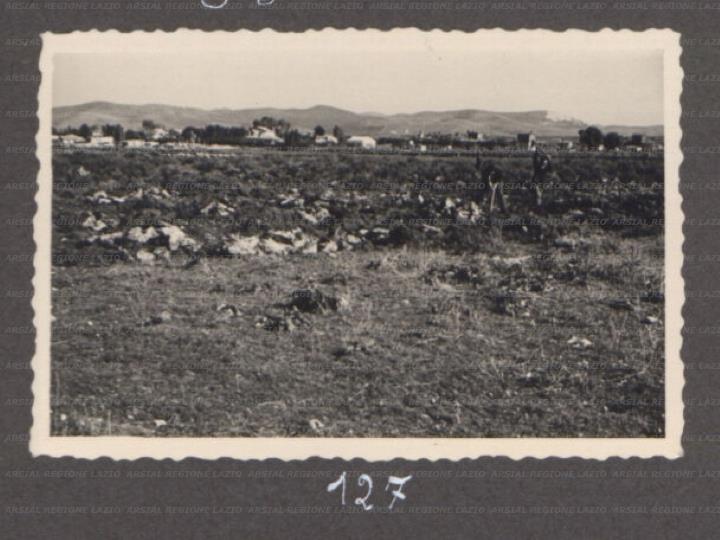 ARSIAL/ARS00175F24.jpg
