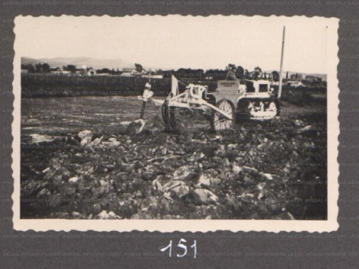 ARSIAL/ARS00175F25.jpg