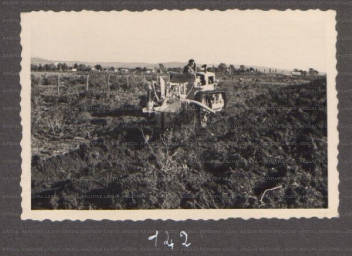 ARSIAL/ARS00175F29.jpg