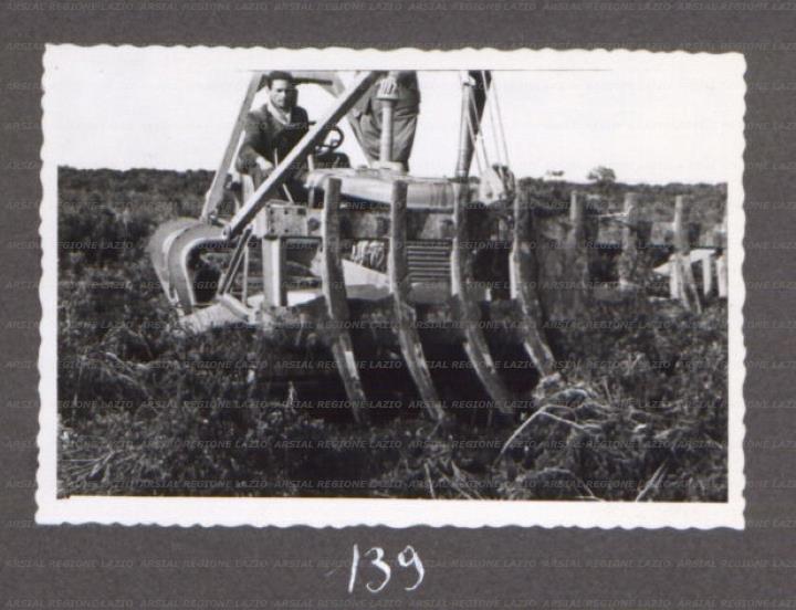 ARSIAL/ARS00175F2E.jpg