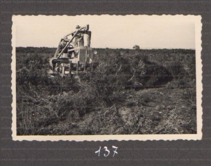 ARSIAL/ARS00175F31.jpg