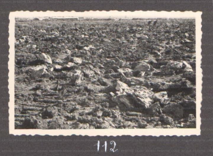 ARSIAL/ARS00175F45.jpg