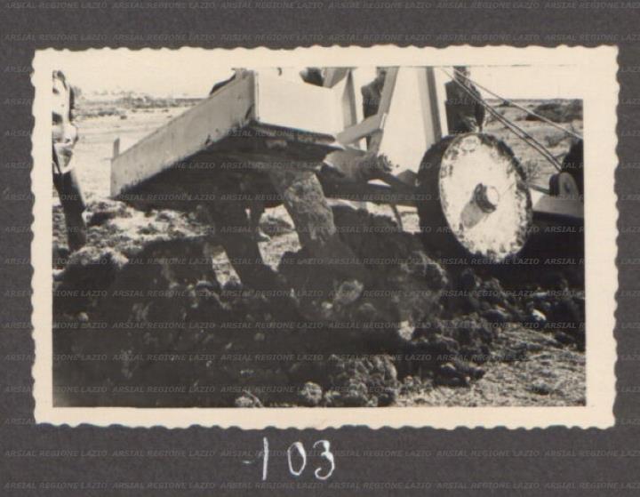ARSIAL/ARS00175F5F.jpg