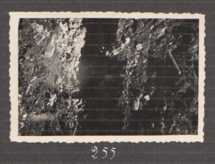 ARSIAL/ARS00175F6C.jpg