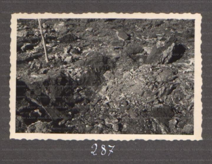 ARSIAL/ARS00175F6D.jpg