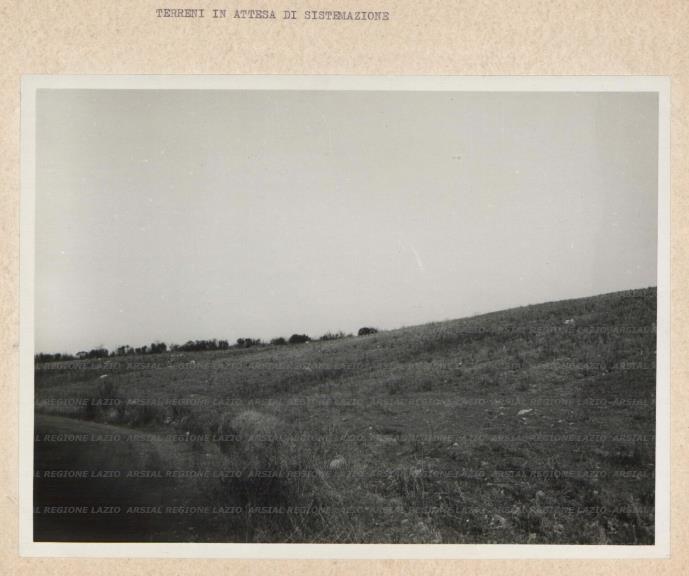 ARSIAL/ARS00175F84.jpg