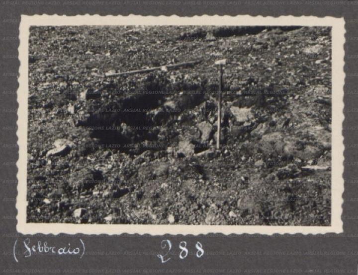 ARSIAL/ARS00175F95.jpg