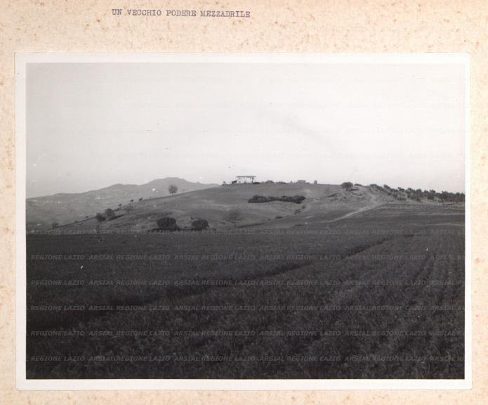ARSIAL/ARS00175F9A.jpg