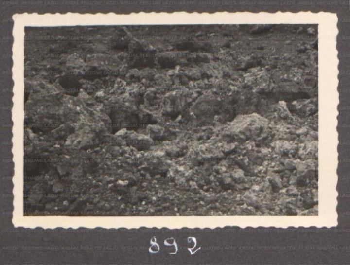ARSIAL/ARS00175FA7.jpg