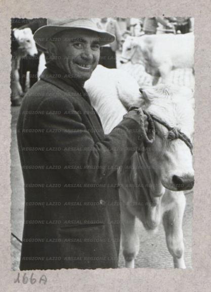 ARSIAL/ARS00175FAC.jpg