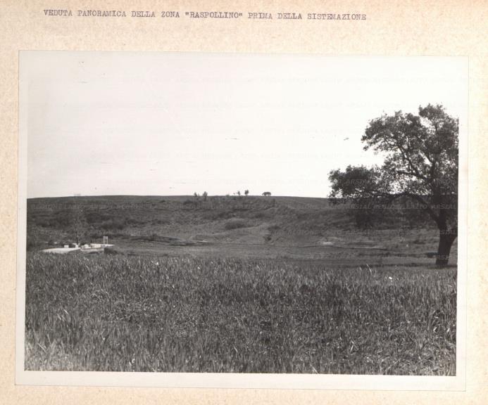 ARSIAL/ARS00175FF9.jpg