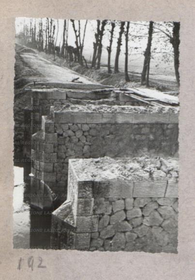 ARSIAL/ARS00175FFC.jpg