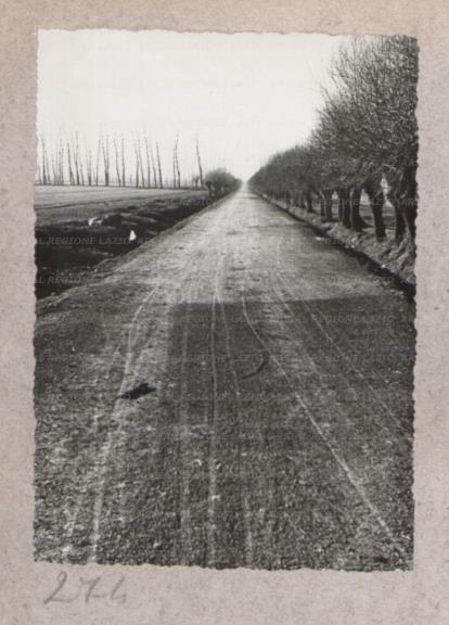 ARSIAL/ARS0017605B.jpg