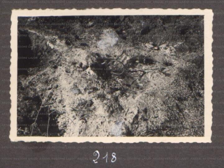 ARSIAL/ARS00176073.jpg