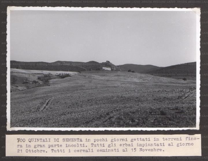 ARSIAL/ARS001760C0.jpg