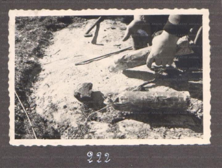 ARSIAL/ARS001760CD.jpg
