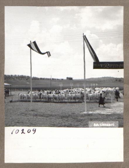 ARSIAL/ARS00176121.jpg