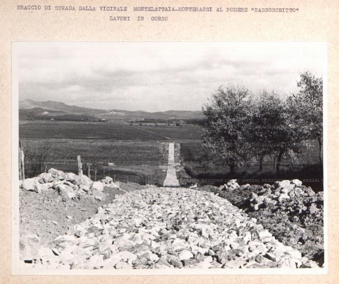ARSIAL/ARS0017612F.jpg
