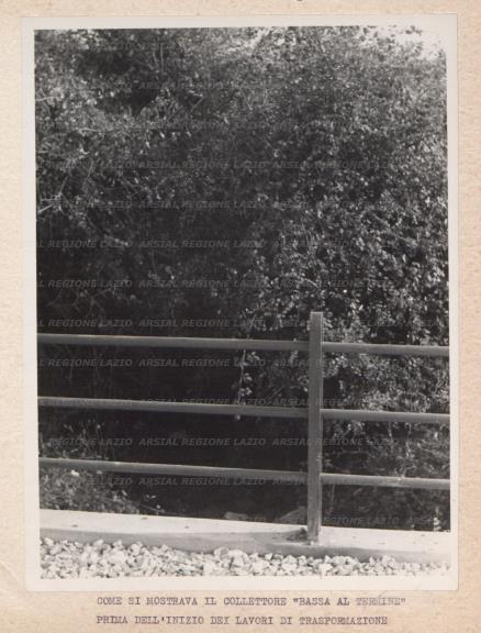ARSIAL/ARS00176141.jpg