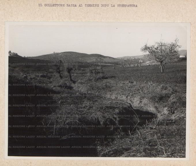 ARSIAL/ARS0017617D.jpg