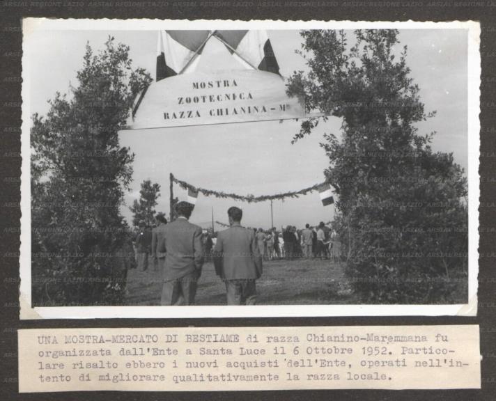 ARSIAL/ARS00176184.jpg