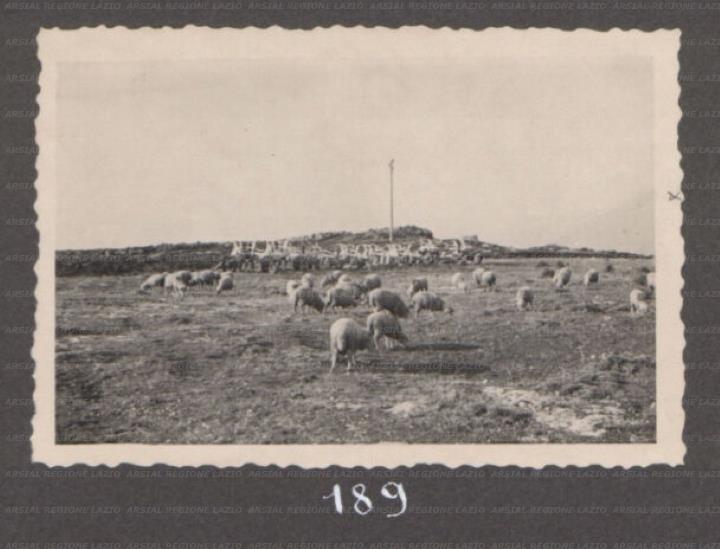 ARSIAL/ARS00176196.jpg