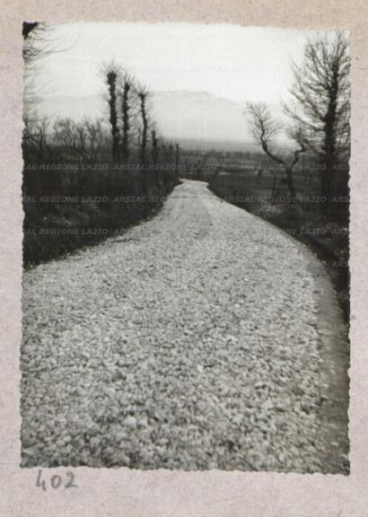 ARSIAL/ARS001761B1.jpg