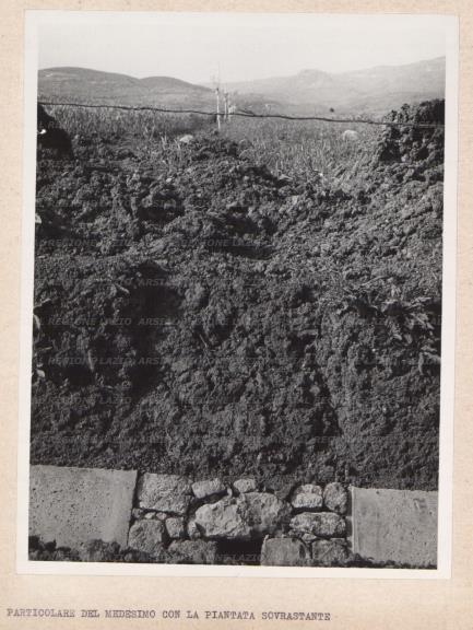 ARSIAL/ARS001761C9.jpg