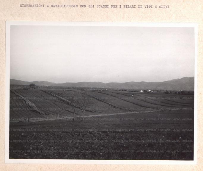 ARSIAL/ARS001761DC.jpg