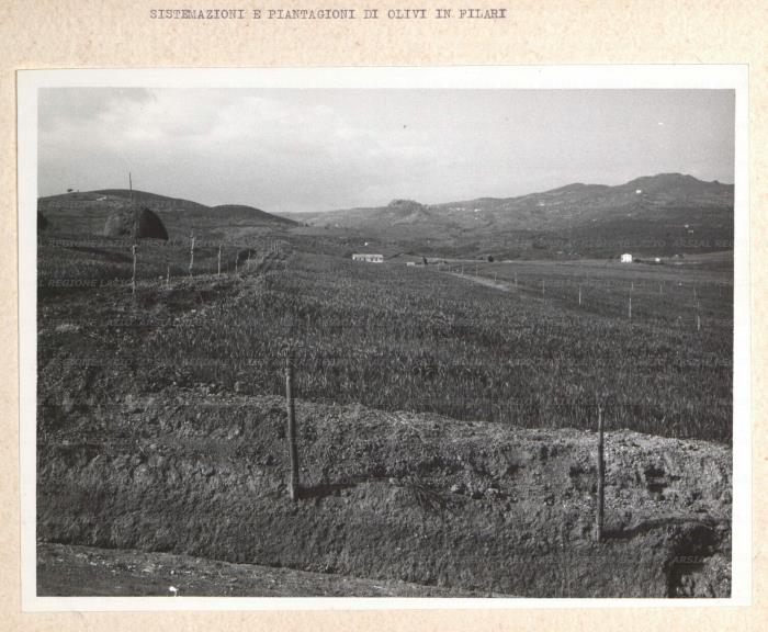 ARSIAL/ARS001761E8.jpg