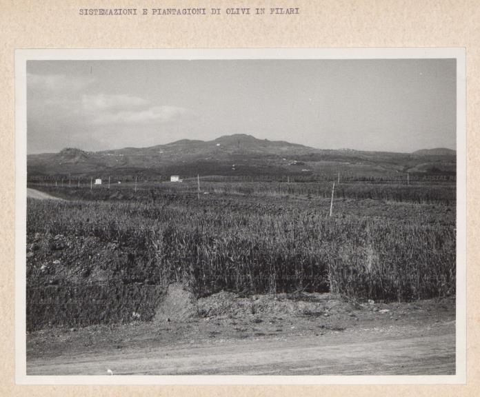 ARSIAL/ARS001761E9.jpg