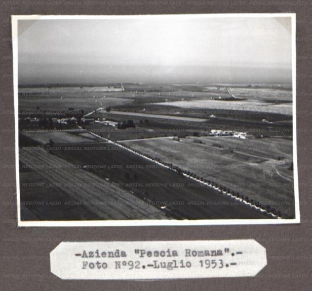 ARSIAL/ARS00176350.jpg