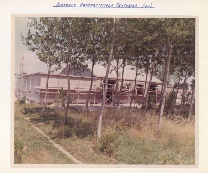 ARSIAL/ARS001763E3.jpg