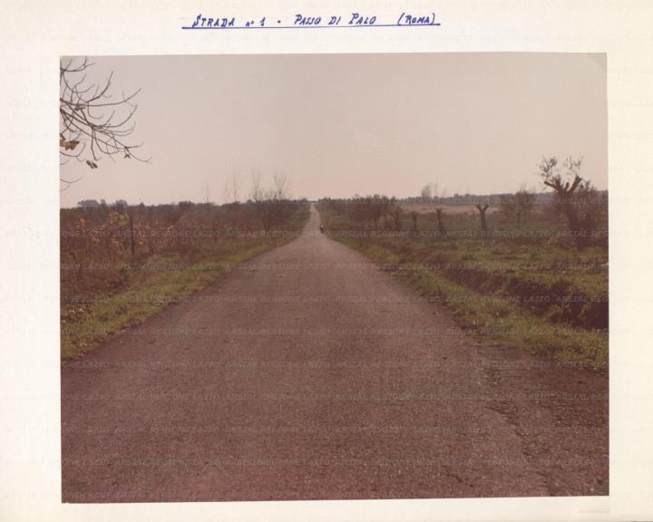 ARSIAL/ARS001763E6.jpg