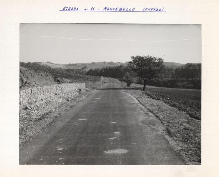 ARSIAL/ARS00176400.jpg