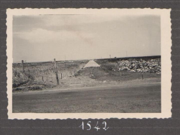 ARSIAL/ARS00176479.jpg