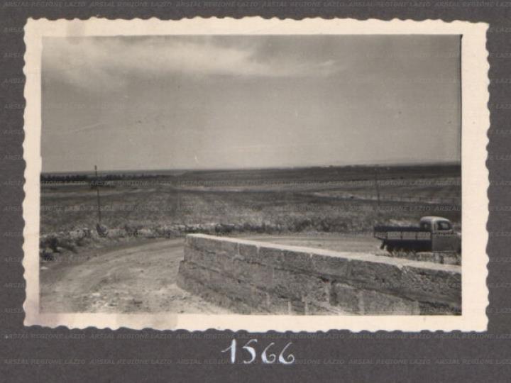ARSIAL/ARS00176487.jpg