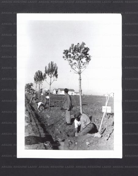 ARSIAL/ARS001764BC.jpg