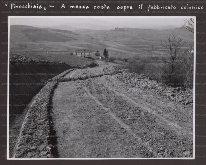 ARSIAL/ARS001764DC.jpg