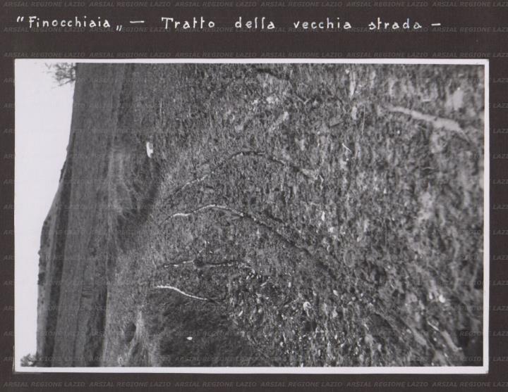 ARSIAL/ARS001764E0.jpg