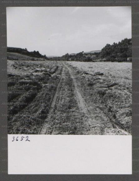 ARSIAL/ARS001764E7.jpg