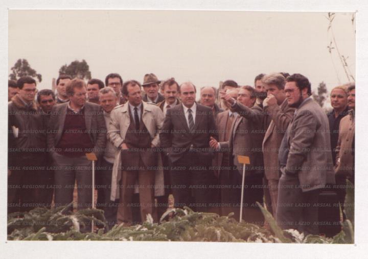 ARSIAL/ARS0017650E.jpg