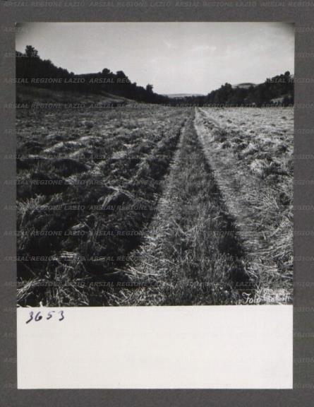 ARSIAL/ARS0017654F.jpg