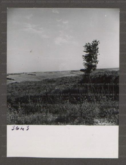 ARSIAL/ARS00176595.jpg
