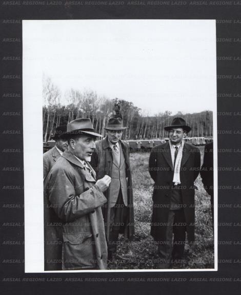 ARSIAL/ARS001765A8.jpg