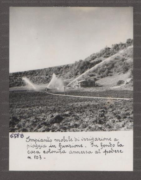 ARSIAL/ARS00176609.jpg