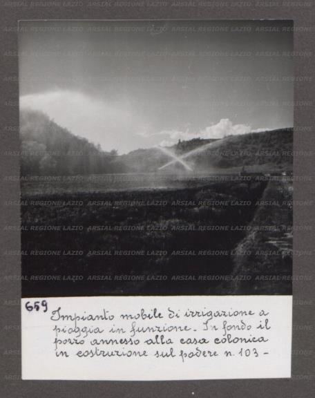 ARSIAL/ARS0017660D.jpg