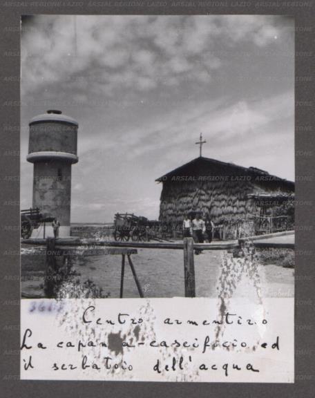 ARSIAL/ARS0017662D.jpg