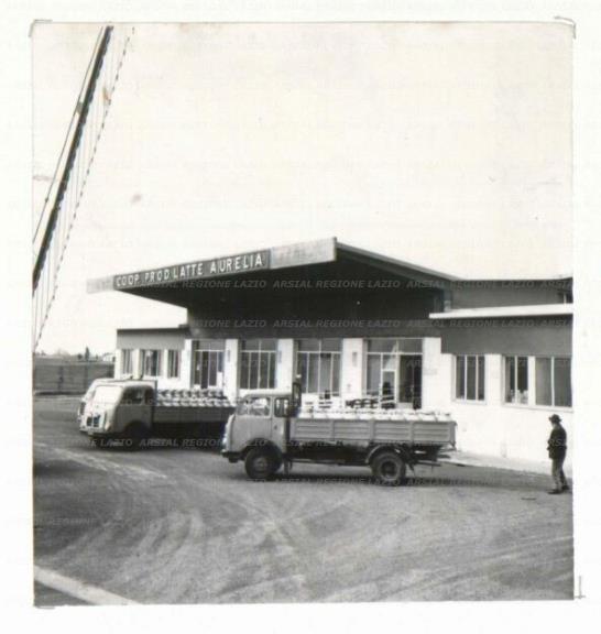 ARSIAL/ARS00176717.jpg