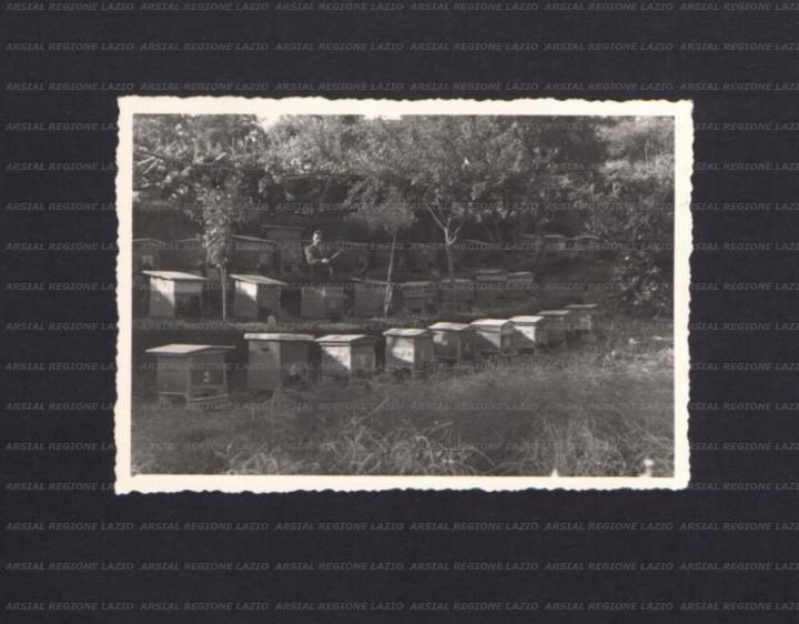 ARSIAL/ARS00176725.jpg